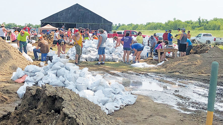 Nutwood Levee sandbagging